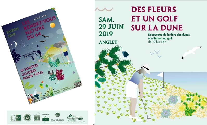 des_fleurs_et_un_golf_sur_la_dune_