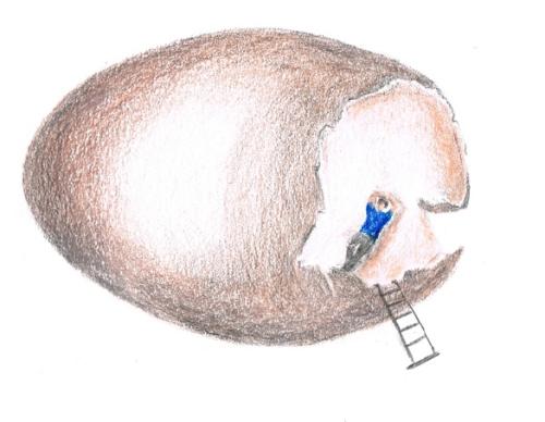 image_clementine_bouchot_projet_l_abris_de_nos_reves_cie_branca