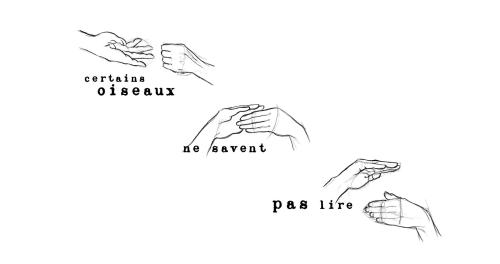 credit_photo_aliona_gloukhova_certains_oiseaux_ne_savent_pas_lire_visuel_pascaline_marque