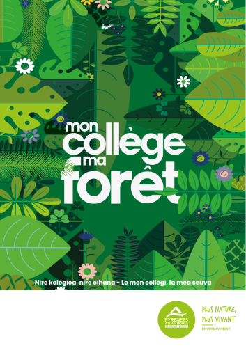 mon_college_ma_foret_au_pignada_a_anglet