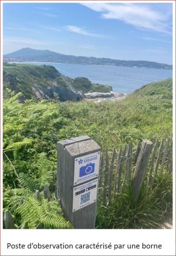 l_action_du_grand_public_pour_le_suivi_de_l_erosion_des_falaises_du_domaine_d_abbadia