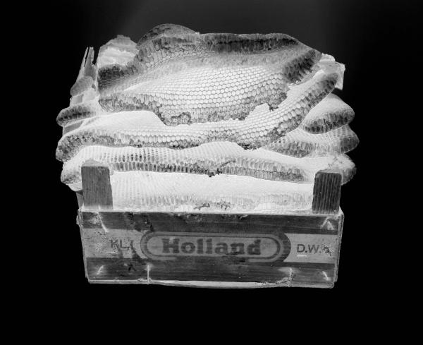 exposition_noeud_724_re_la_guerre_par_pierre_grange_praderas