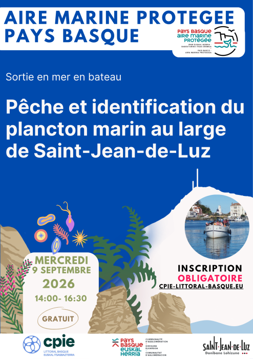 aire_marine_protegee_pays_basque_biodiversite_des_dunes_de_sokoburu_a_hendaye