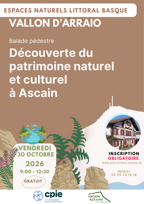 balade_nature_le_vallon_d_arraio_a_ascain
