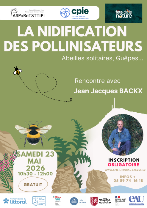 fete_de_la_nature_2026_gratuit_rencontre_avec_jean_jacques_backx_la_nidification_des_pollinisateurs_