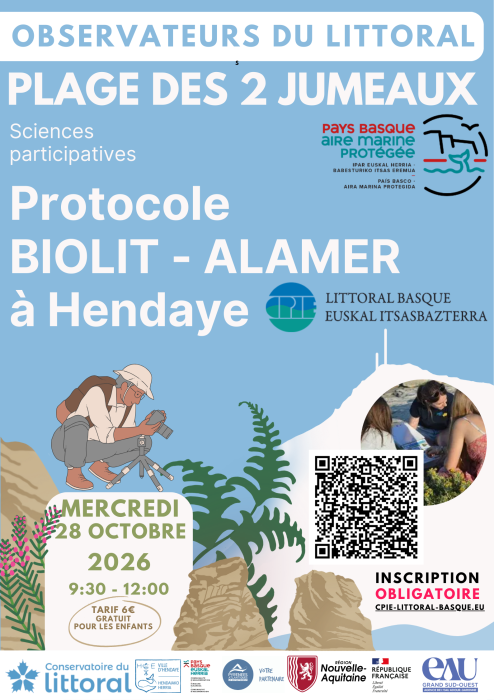 devenez_observateur_du_littoral_basque_et_decouvrez_la_richesse_de_la_biodiversite_action_pavillon_bleu_
