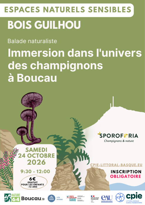 l_espace_naturel_sensible_du_bois_guilhou_autrement_immersion_dans_l_univers_des_champignons_a_boucau_