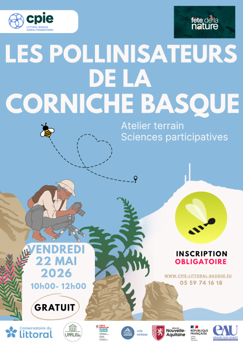 fete_de_la_nature_2026_gratuit_a_la_decouverte_des_pollinisateurs_de_la_corniche_basque