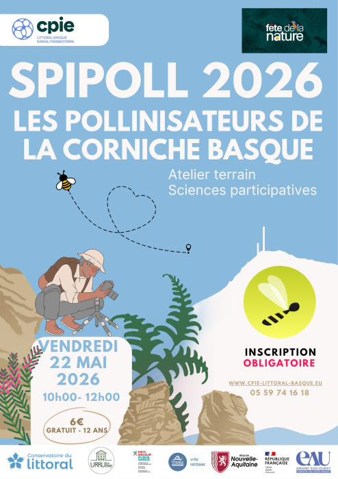 sortie_nature_spipoll_a_la_decouverte_des_pollinisateurs_