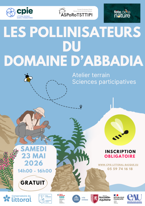 fete_de_la_nature_2026_gratuit_a_la_decouverte_des_pollinisateurs_du_domaine_d_abbadia