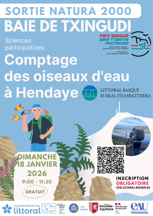 wetland_comptage_international_participatif_des_oiseaux_d_eau_de_la_baie_de_txingudi